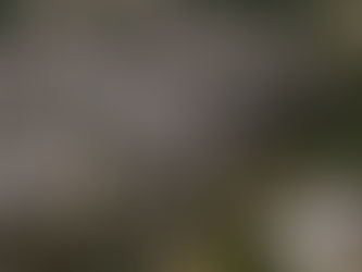 O terremoto no Haiti em 2010: Luzes no céu e caos na terra.