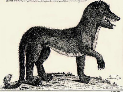 Besta de Gévaudan: Lobisomem real na França.