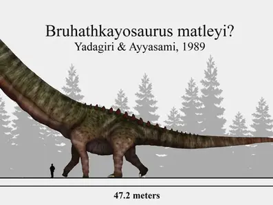 Os Maiores Fósseis de Dinossauros Já Descobertos!