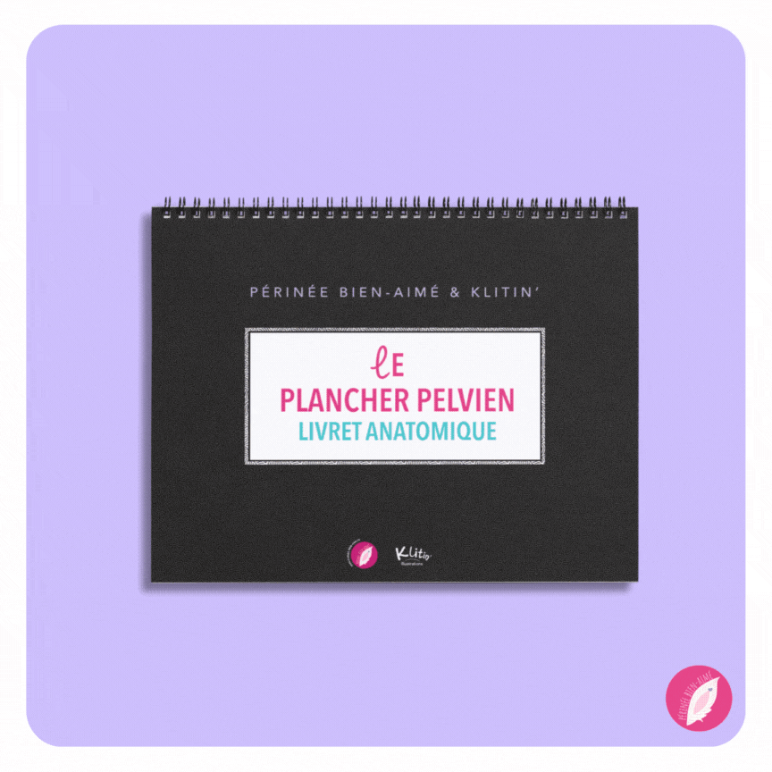 Livret anatomique du plancher pelvien