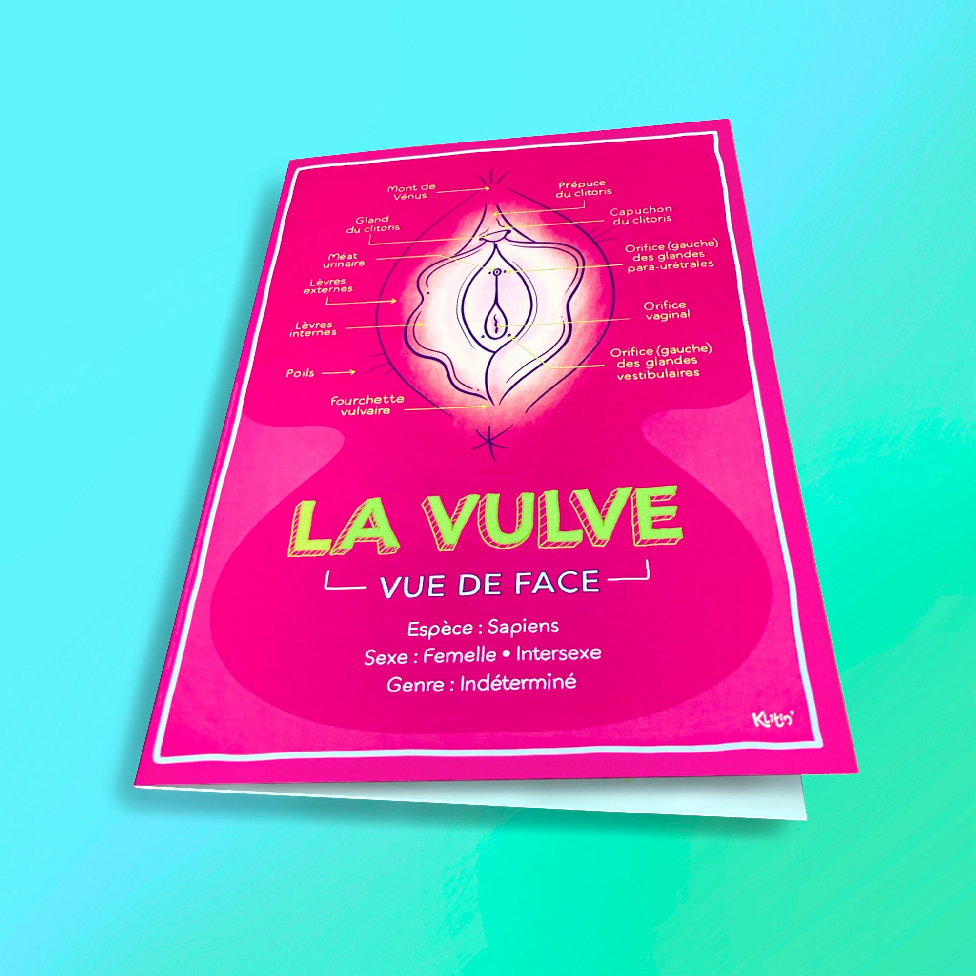 Borchure illustrée avec l'anatomie de la vulve vue de face en première page.