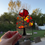 Thumbnail: Oak tree - tree2