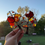 Thumbnail: Oak tree - tree2