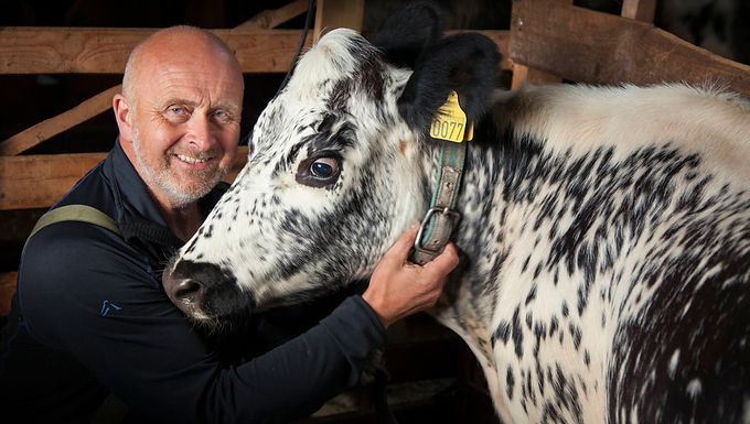 Brubekken Gardsmeieri