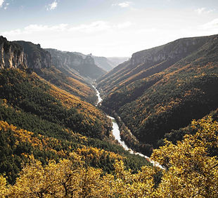 Gorges du Tarn Southern France_lr.jpeg