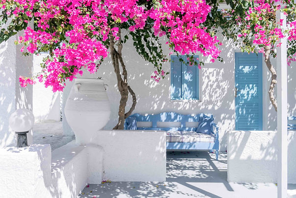 Greece Magenta Trees