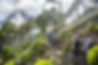 Trekking to Acatenango volcano, Guatemala_lr.jpeg