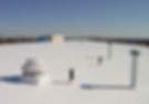 tpo