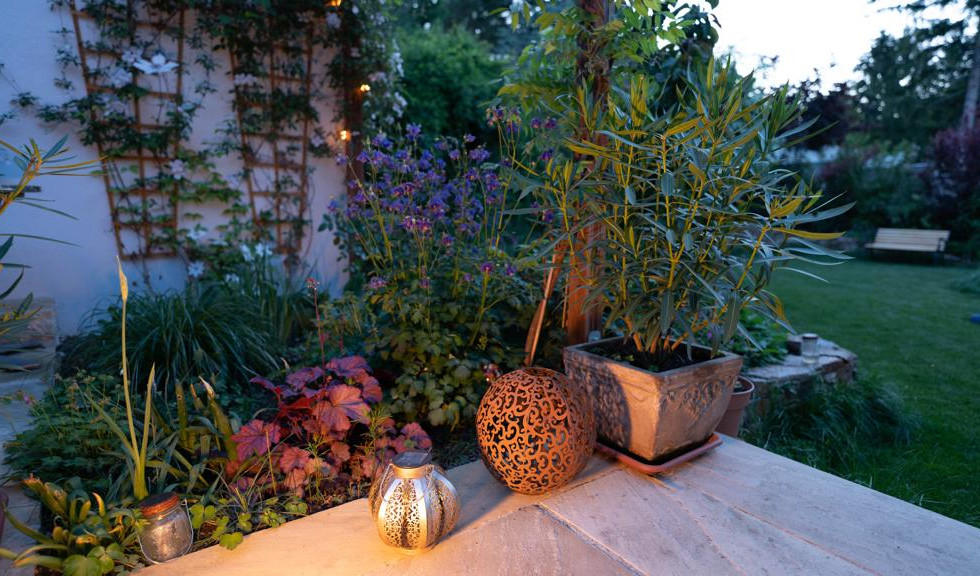 Maria Enzersdorf Gartengestaltung Naturpool absolutgruen