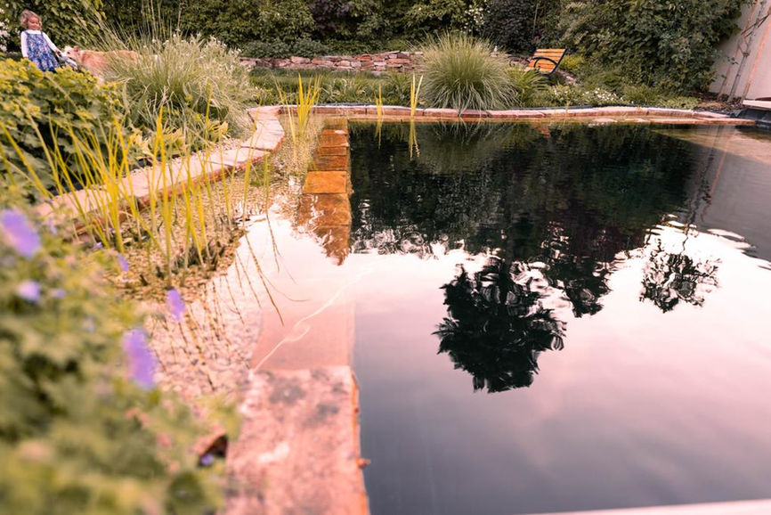 Naturpool im modernen Garten in Maria Enzersdorf
