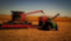 Combine harvester filling grain cart with standing corn crop in background