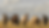 TBL Website-3.png