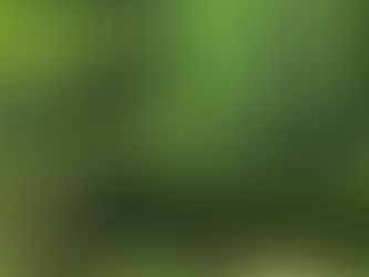 Music and nature are intimately linked