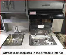 armadillo click on camping.jpg