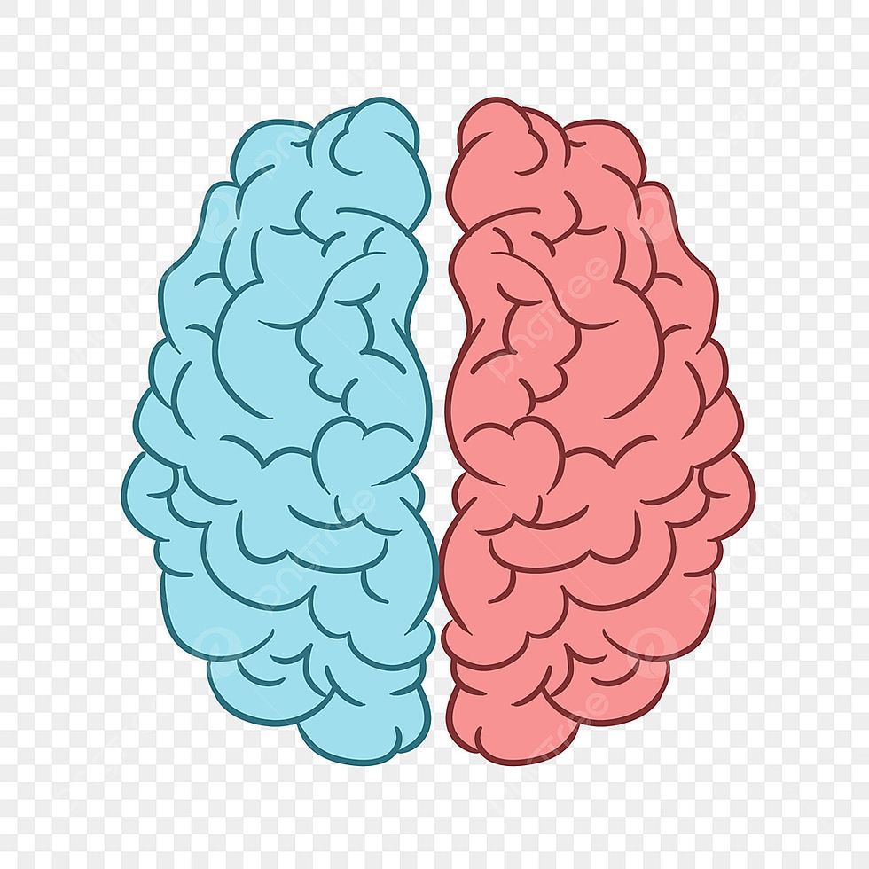 【中高生必見】右脳と左脳の本当の役割とは？勉強効率を最大化する脳の使いかた