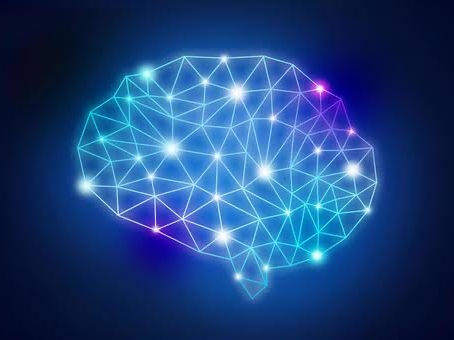 子どもの才能を科学で解明！脳タイプ診断で見つける得意分野と効果的な学習法