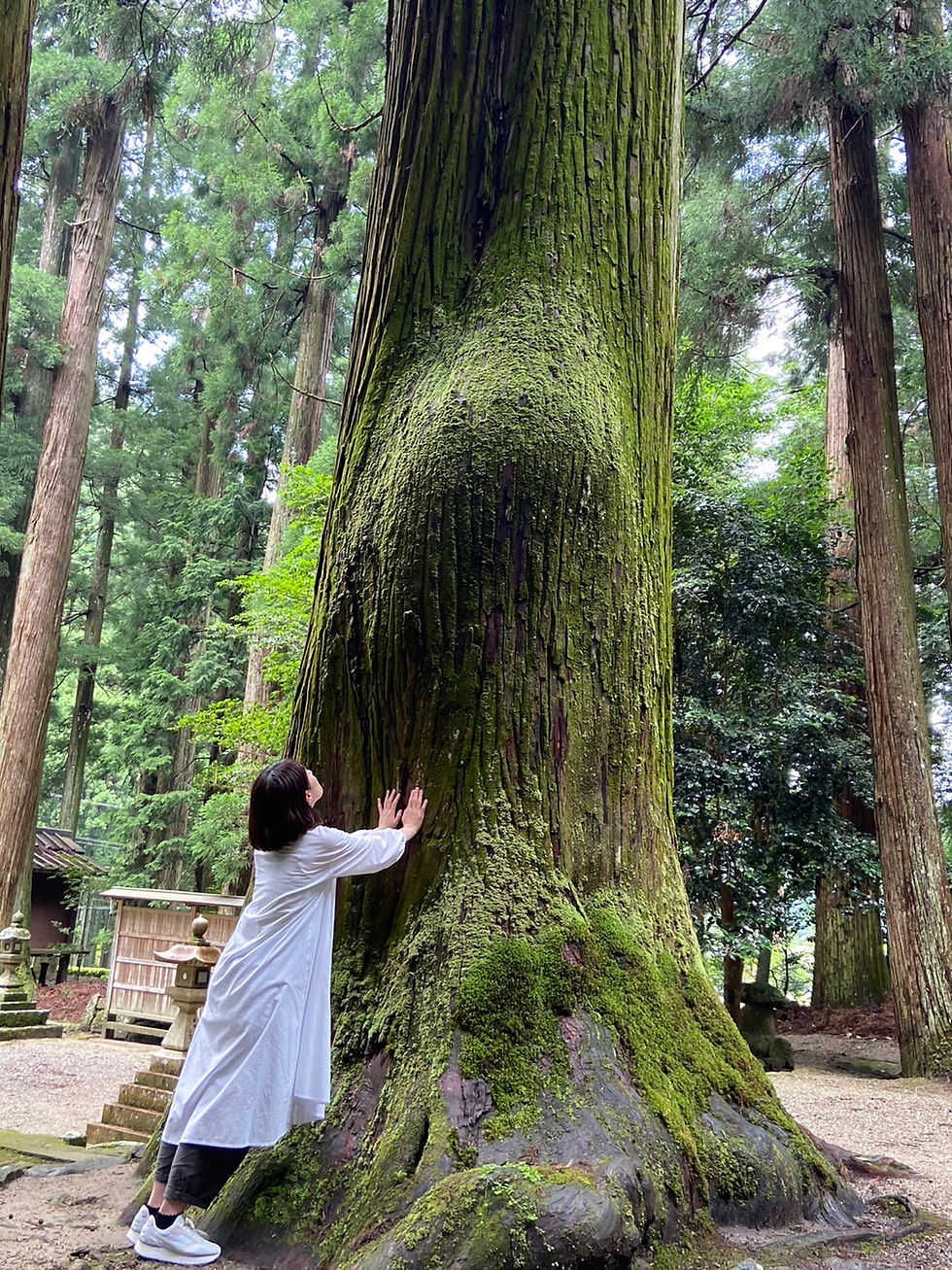 プログラム 1 / ① 6月6日大神さん御参拝 + ローフード (夕食) / あまね庵 1泊2日宿泊プラン
