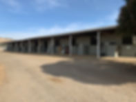 IMG_8602.jpeg
