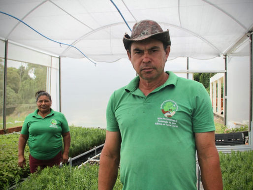 Viveiro de mudas nativas fortalece ações de recuperação ambiental em Rio Negrinho (SC)