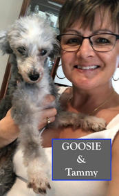 Goosie&Tammy.jpeg