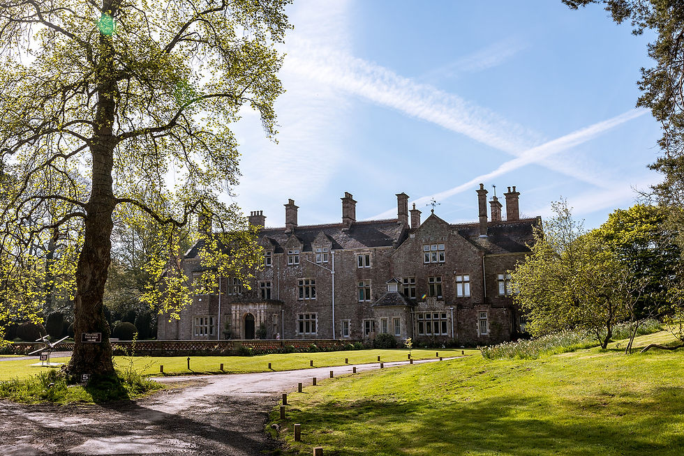 Local wedding photographer Monmouth
