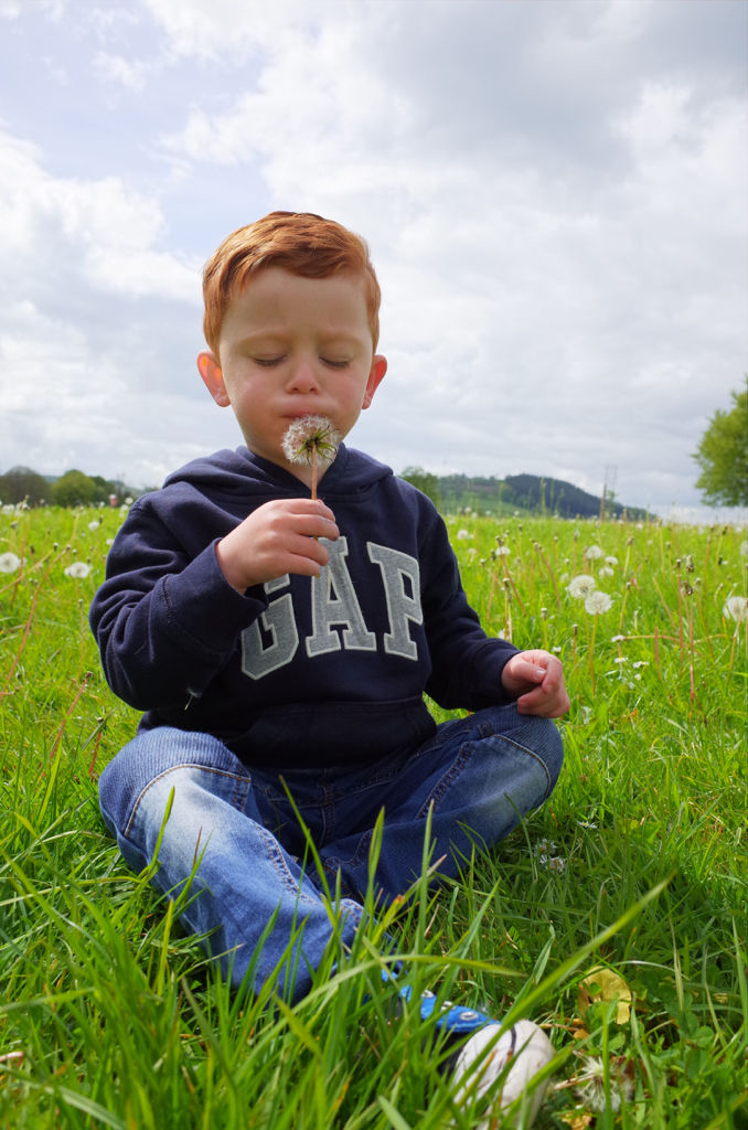 Laswon blowing on a flower in Brecon 2017