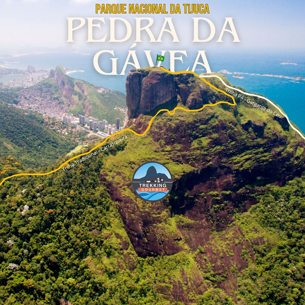 Miniatura: Trilha para a Pedra da Gávea