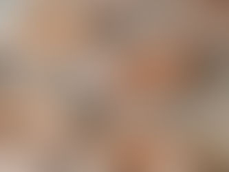 Baked Pumpkin Sourdough Discard Donuts with Spiced Sugar