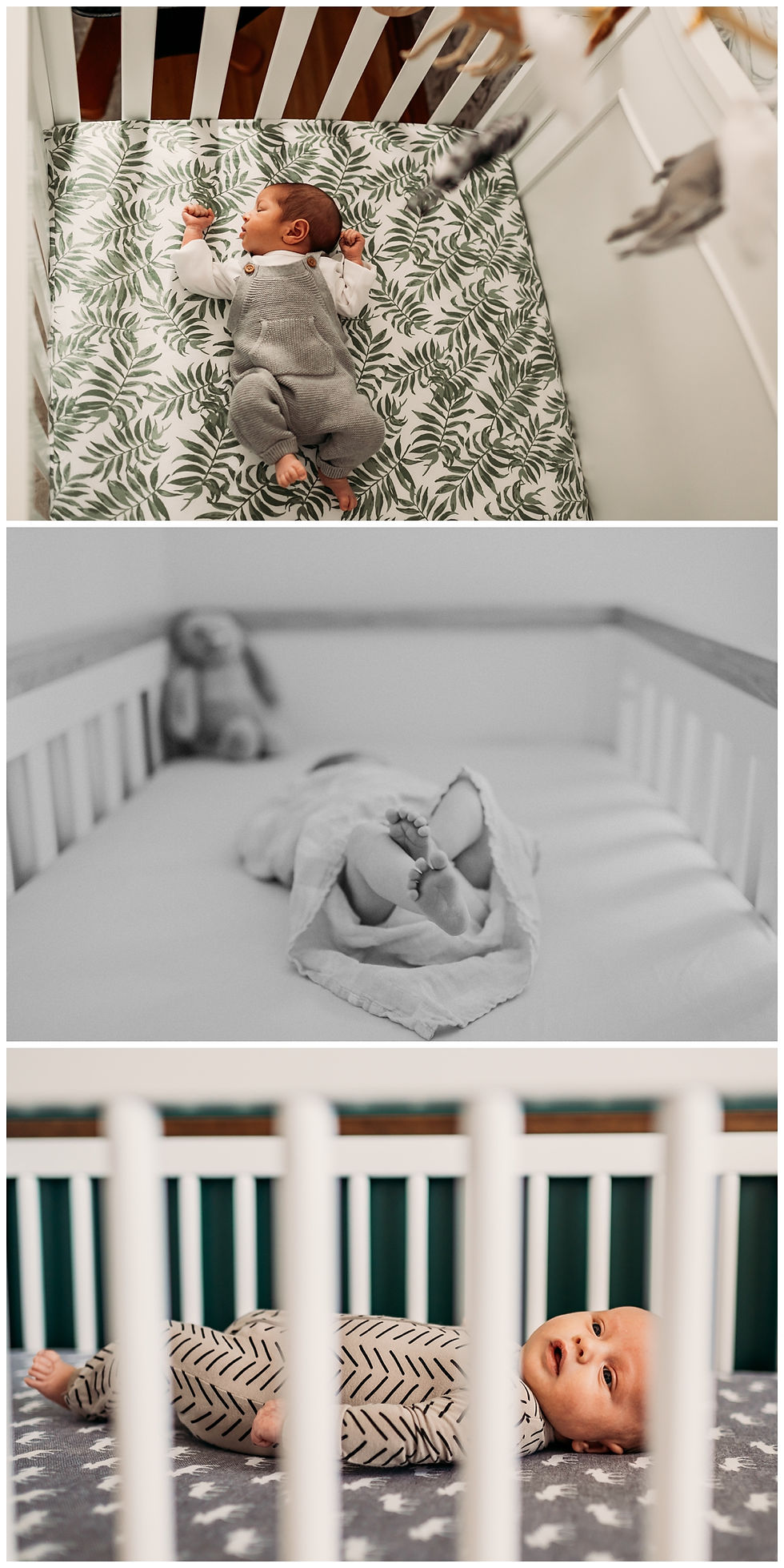 Three lifestyle newborn photos of babies in cribs. Top: overhead view of sleeping baby in gray on leaf-patterned sheet. Middle: black-and-white, baby toes with stuffed animal. Bottom: baby in pattern suit looks sideways though the bars of the crib.