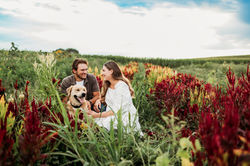 Hamilton Engagement Photographer-Catchlight Photography 2330