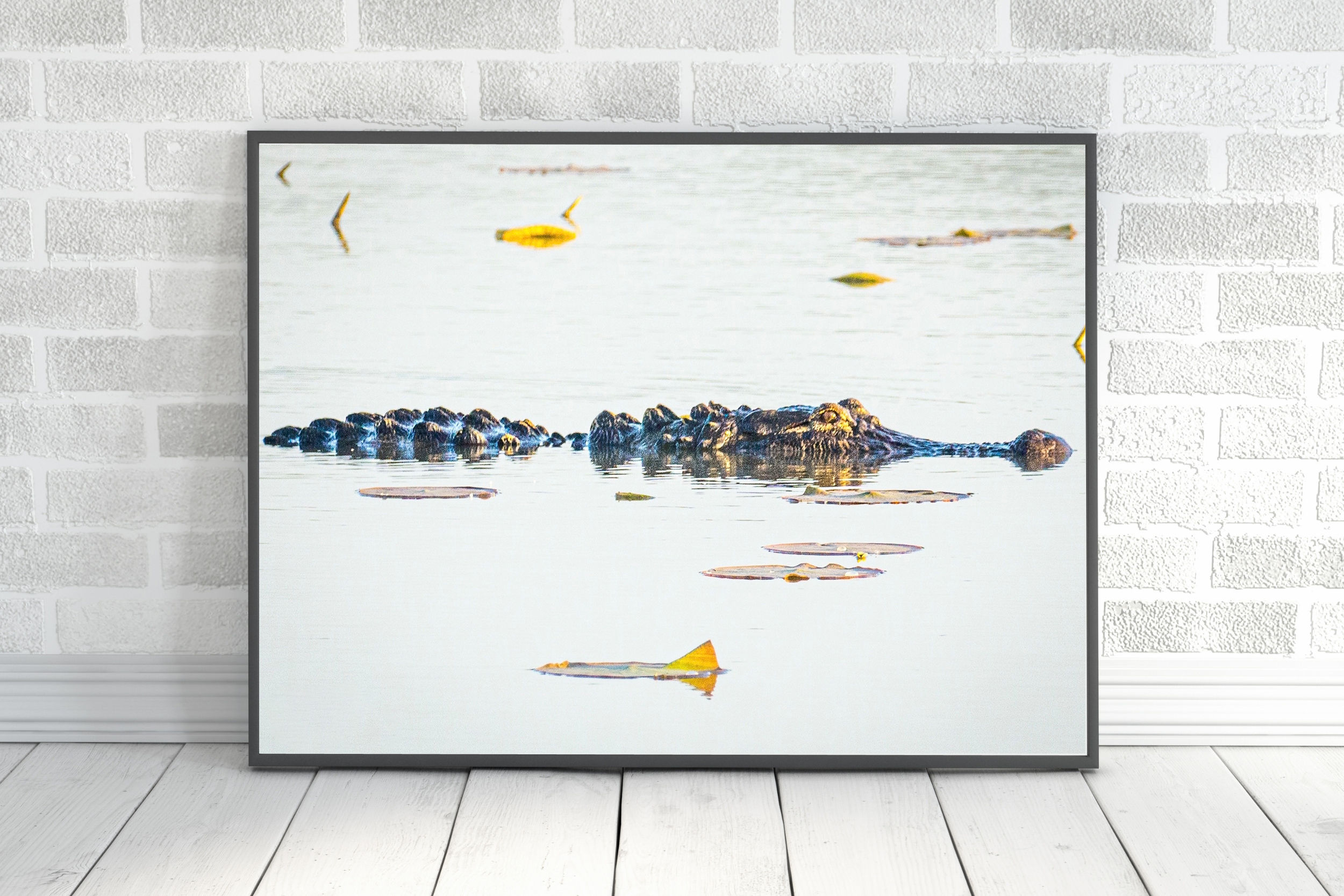 (10x14) Sunny Gator (unframed)