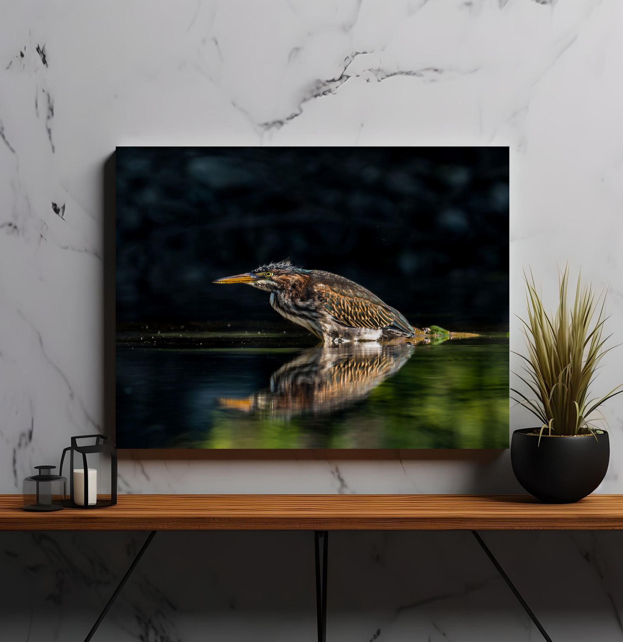 (8x10) Green Heron (unframed)