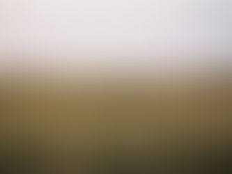 New Agricultural Bill: Benefiting Farmers or the Environment?