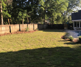 new lawn.jpeg
