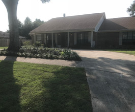 landscaping and sod.jpeg