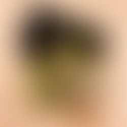 Why The Exchange Student Didn’t Deliver the Suspense I Expected