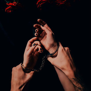 This Book Kidnapped Me (and Honestly, I Didn’t Want to Escape)