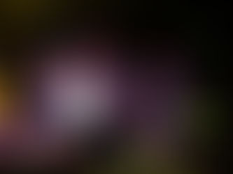 TallaBassee Recap: Tallahassee Kicks Off 2026 KAS Season with Big Bass & BBQ