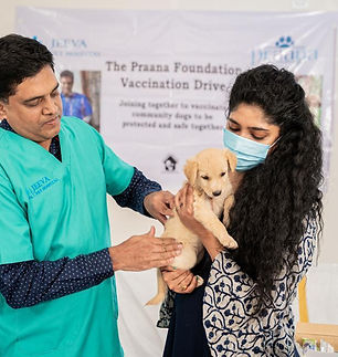 WhatsApp Image 2026-01-27 at 19.05.39.jpeg