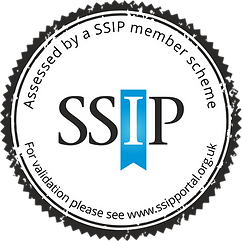 SSIP Supplier logo (Colour).png