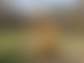 Calhoun County 1982 Foundation