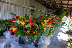 heads.3.30.31 - Large.jpg