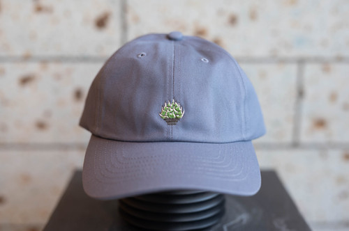 CGオリジナルキャップ ストーンブルー | Cactus Green