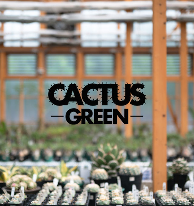 サボテン | CACTUS GREEN［カクタスグリーン］ | 日本 - コーデックス