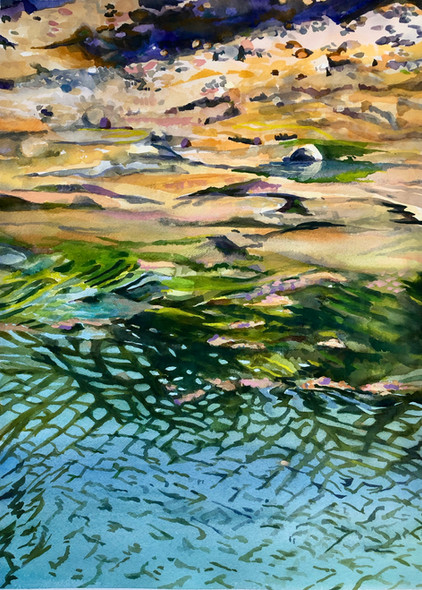 Algae, Seaweed, Rocks