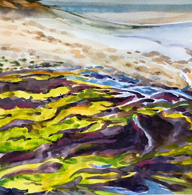 Algae on Water