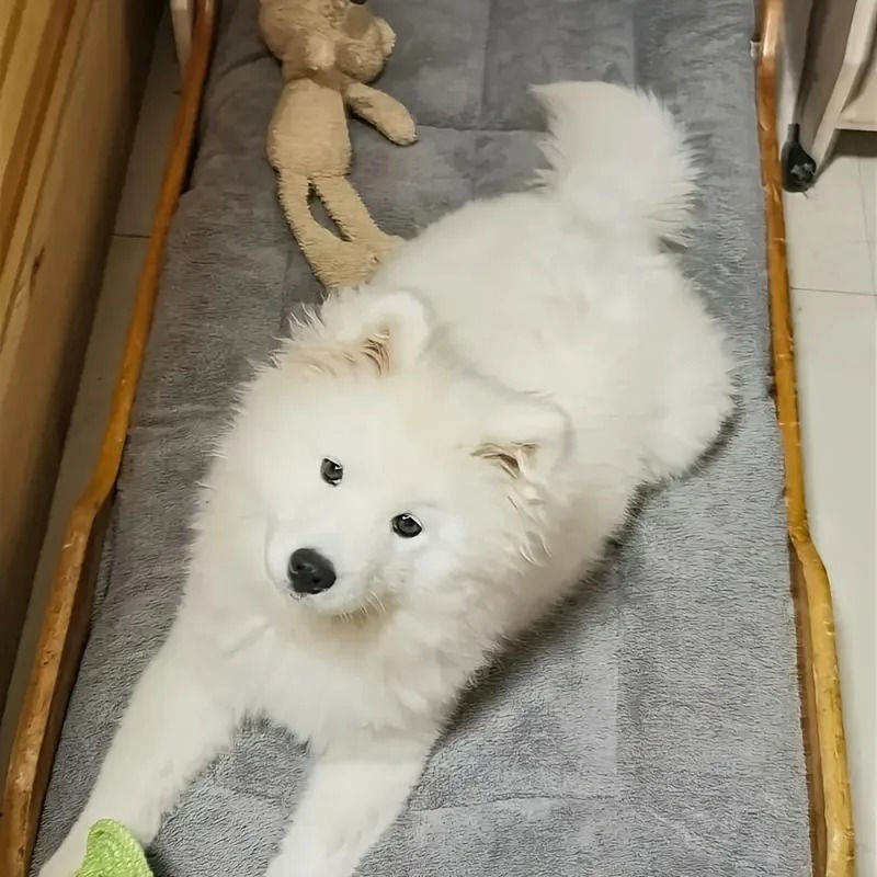 Thumbnail: Oversized Plush Dog Cat Bed Sofa Crate Pad Ultra Soft Polyester Pet Mat for All 