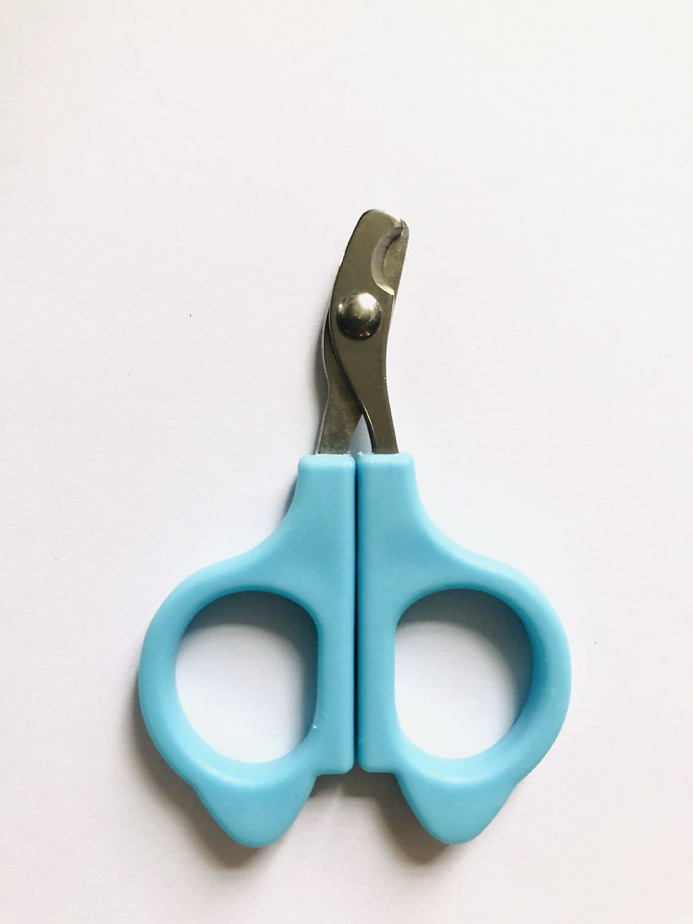 Thumbnail: Professional Cat Nail Scissors Pet Dog Nail Clippers Toe Claw Trimmer Pet Groomi