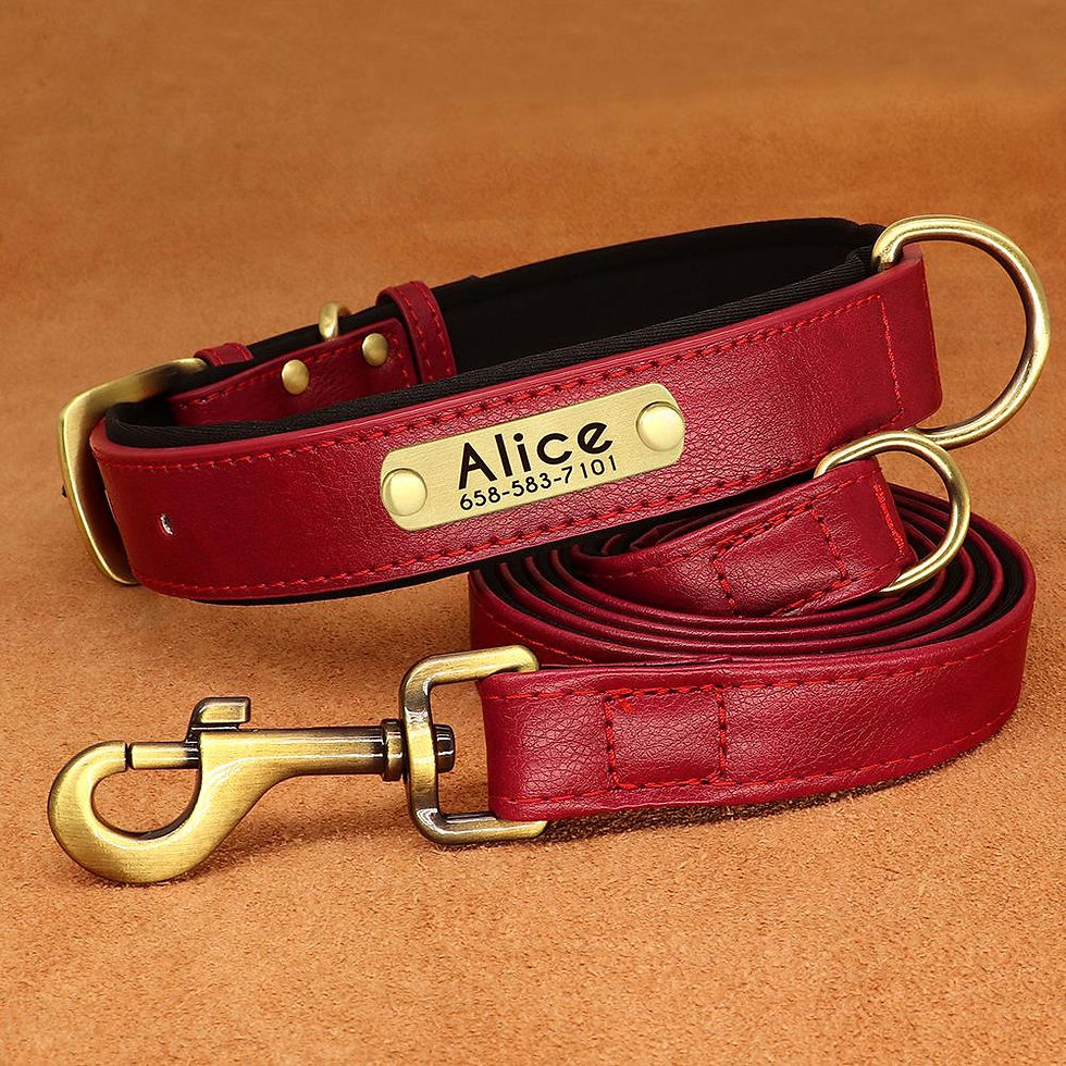 Thumbnail: Personalised Leather Collar & Lead Set