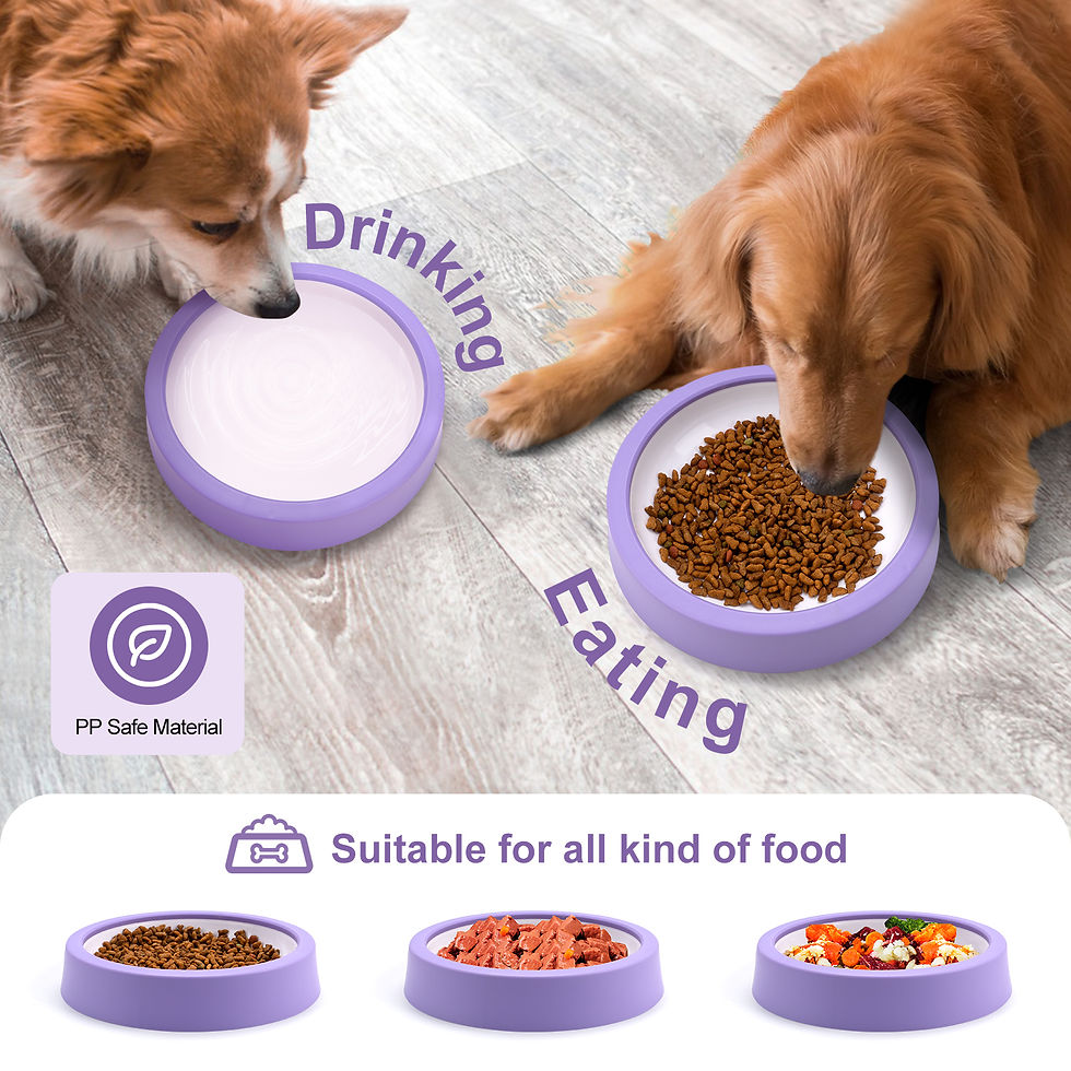 Thumbnail: Pet Dog Slow Feeder Bowl Fun Non Slip Anti-Gulping Slower Food Feeding Dishes Ec